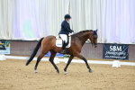 SBM_002931