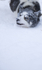 Huskies from the Dogsled team in Northern Finland