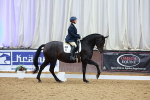 SBM_005065
