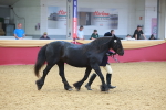 SBM_16701