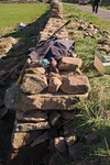 Drystone Walling portfolio