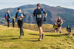 Sale Fell-353