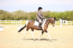 SBM_007985