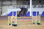Class 16 - Senior 1.15m Inc National 1.15m Members Cup Qualifier portfolio