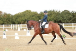 SBM_009501