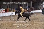 BPP_0391