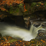 Healey Dell