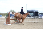 SBM_17394