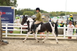 SBM_04811