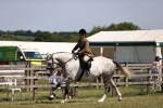 SBM_17734