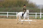 SBM_007808
