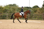 Class 7 - Novice 37 portfolio