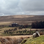 remote pennines
