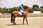 SBM_007412