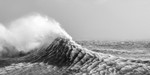 IMG_5988 bw