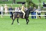 SBM_51813