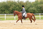 SBM_001343