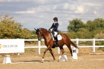 SBM_006494