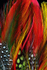 FEATHERS-5-3928