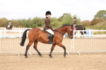 SBM_01549