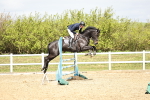 SBM_000923