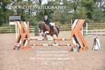 CLASS 12 SUN Club/ Unaffiliated 70cms Open portfolio
