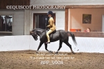 BPP_9904