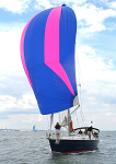 050820 PINK GBR411T IMG_1679