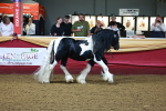 SBM_14962