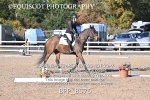 BPP_8576