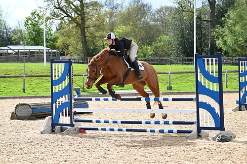 WJ7_7919