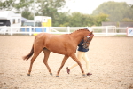 SBM_20120