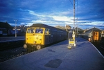1st Aug 1984