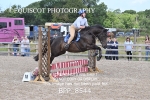 BPP_8544