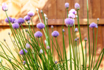 03Jun2013: Photo 154