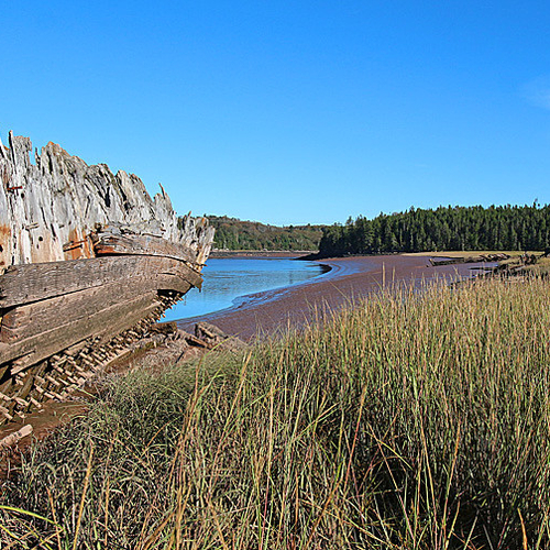 Shipwrecks of the Musquash Inner Estuary - 1