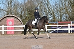 Dressage - CT Class 4 BE95 (80cm) portfolio