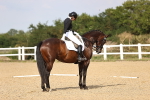 SBM_002843