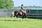 SBM_12123