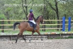 BPP_3371