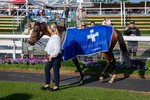 160525-Race 7-Delicacy-6674