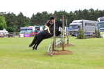 SBM_09452