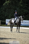 311-BALLYCOSKERRY_REGAL_DIAMOND-Hollie_Swain-WEDTrotUp+DR portfolio