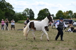 WJ6_5576