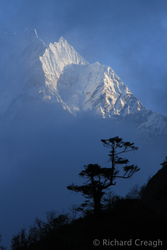 Through the Mist