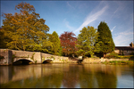 Ashford in the Water