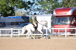 SBM_08850
