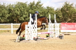 SBM_006485