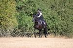 WJ6_6721