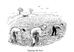 Topping the beet